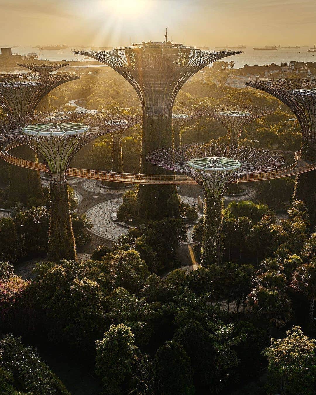 BEAUTIFUL DESTINATIONSさんのインスタグラム写真 - (BEAUTIFUL DESTINATIONSInstagram)「A futuristic urban jungle! 🌳  Besides marrying nature and modernity, Singapore is also known for its harmonious and diverse society, where differences in culture and traditions are celebrated. ✨  Swipe left to see some of its iconic spots! Isn't the country truly one of a kind? What are your favorite places here? 🇸🇬  📸  @bennytgh 📍  Singapore」1月6日 18時04分 - beautifuldestinations