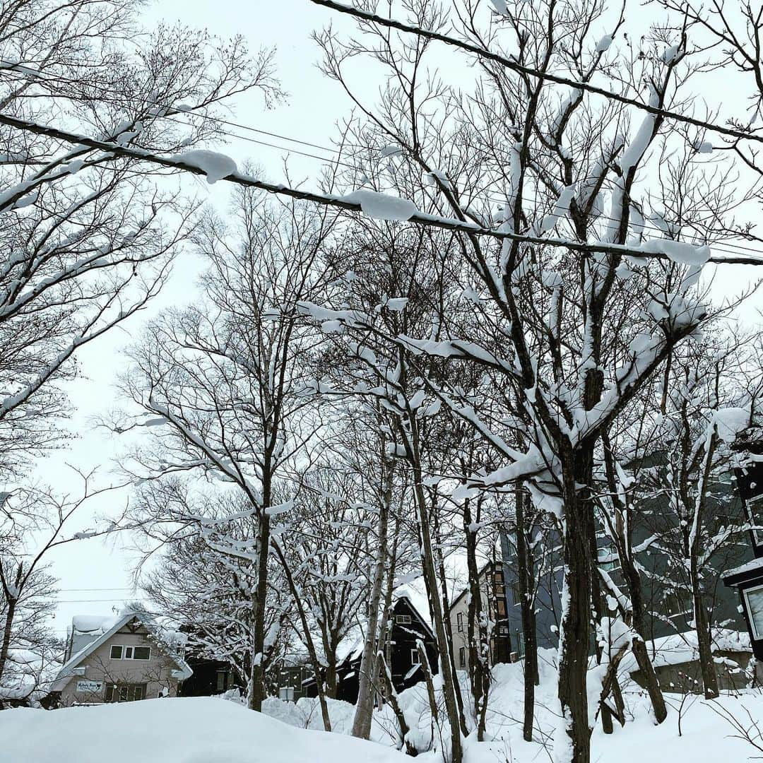 TERUさんのインスタグラム写真 - (TERUInstagram)「☆☆2020〜2021☆☆  今週末から首都圏の1都3県に緊急事態宣言が1ヶ月間の予定で発令されます。  飲食店の時短営業要請が主な目的ではあると思うのですが、他の行動の制限はほとんど今までと変わらないようなので感染予防は徹底しつつ気を付けて行動していきたいと思います。  エンタメ業界もなかなか思うように活動できない状況ではありますが、前向きに活動できたらと思っています。  当面の予定はないので身体鈍らせない様に雪山で体力作りもして行きたいと思ってます^_^  最近ご縁がありBURTON JAPANのスノボーアイテムを今季はメインに使用させて頂いてます。  そうそう、@leila_iwabuchi 岩渕麗楽ちゃんのサポートも引き続きさせて頂くので、応援宜しくお願いします^_^  movie's camera  @leon_jr_ryo   #burtonjapan  #岩渕麗楽  #gdirect  #niseko #naeba」1月6日 18時06分 - glay__teru