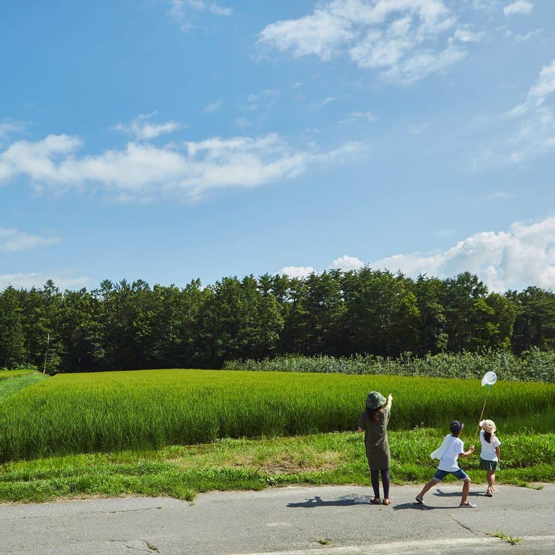 BESSの家さんのインスタグラム写真 - (BESSの家Instagram)「【原っぱに天幕】 空がある。大地がある。人間が生きている。 天幕を張って、草の上に寝っ転がれば、あぁ、心地いい。原っぱに天幕。 それがBESSの家づくりの考え方の原点。 おおらかに、できるだけ自然を近くに感じる自由な家がいい。 だからBESSの家には、木の温かい肌触りがある。風が吹き抜けに遊びに来る。薪の火が似合うのです。 . #BESSの家#住むより楽しむBESSの家#住むより楽しむ#スローライフ#木の家#ログハウス#BESSオーナーの暮らし#BESSユーザーの暮らし#LOGWAY#梺ぐらし#暮らし#暮らしを楽しむ#おうち時間#あしたのコトバ」1月6日 18時19分 - bess_slowlife