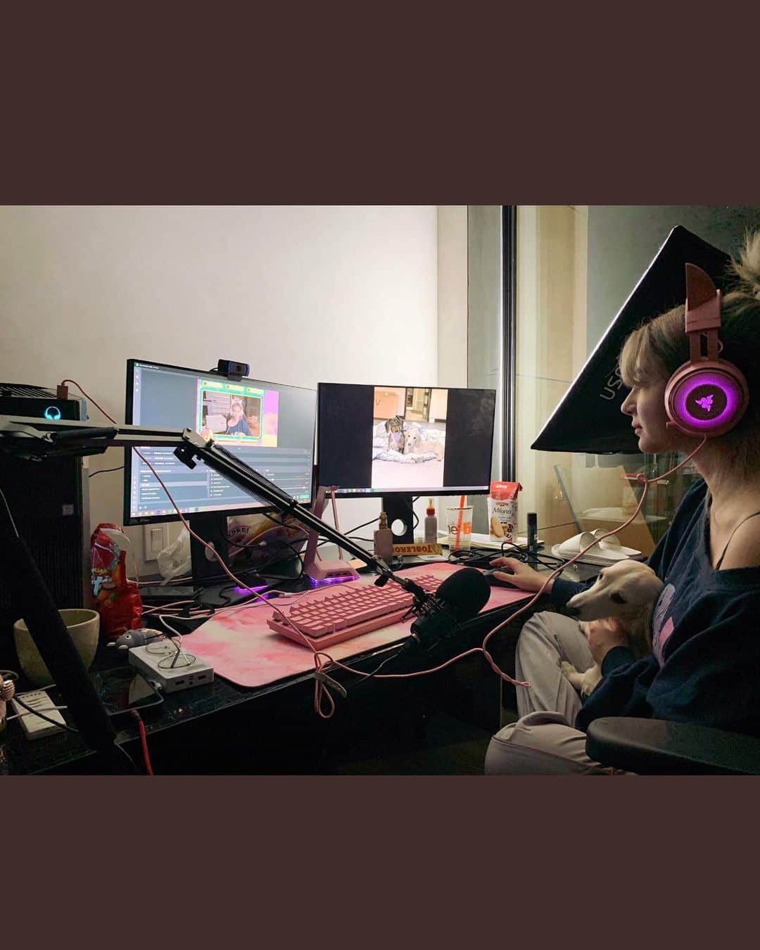 のインスタグラム：「👾🐶 @razer ❤️」