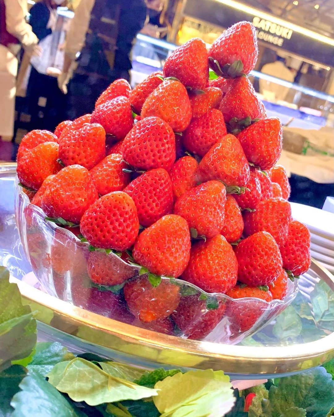 上坂由莉さんのインスタグラム写真 - (上坂由莉Instagram)「昨日はホテルニューオータニ大阪の﻿ いちごビュッフェへ行ってきたよ🍓🚘﻿ その名も「スーパーいちごビュッフェ2021﻿ 〜ホテルでいちご狩り〜」#strawberrygallery﻿ ﻿ ﻿ どのスイーツも本当美味しかった😋❣️﻿ ピエールエルメのあまおうピスタチオケーキもあって﻿ ２つも食べてしまった🤭🍓﻿ スイーツはもちろん食事系も安定に美味しかったです🥰🍓﻿ ギルドフリーなフードもあるし女子には嬉しいっ😋﻿ ﻿ ﻿ 今の時期なのでお店の方が全て取り分けてくださいます✨﻿ 東京のニューオータニでも行ってたけど﻿ 大阪も毎年人気なので予約必須です❣️🍓﻿ ﻿ _ _ _ _ _ _ _ _ _ _ _ _ _ _ _ _ _ _ _ _ _ ﻿ 📍ホテルニューオータニ大阪﻿ ☕️1階 SATSUKI LOUNGE﻿ 🗓1/5〜3/31﻿ 🕛11:30～15:30 ＜各90分制＞﻿ ☑︎ 大人平日 ￥5,800﻿ ☑︎ 土・日・祝日 ￥6,000﻿ ☑︎ 小学生・全日 ￥2,800﻿ ☑︎ 幼児(4歳以上)全日 ￥1,200﻿ ﻿ ﻿ #ホテルニューオータニ大阪 #いちごビュッフェ #大阪﻿ #ホテルでいちご狩り #ホテルビュッフェ #ニューオータニ﻿」1月6日 18時59分 - yuri_yoga.727