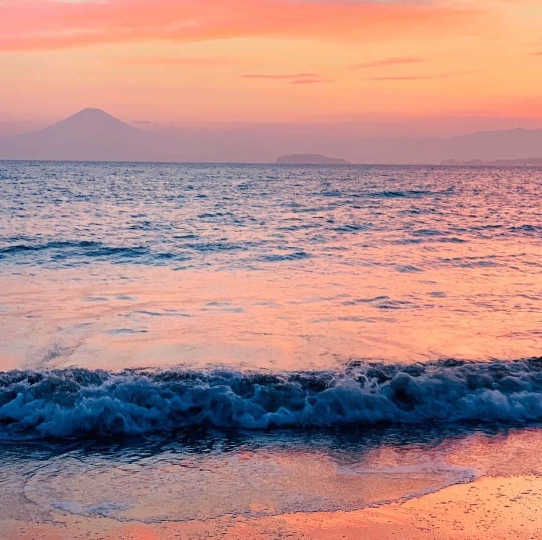 株式会社ポジティブドリームパーソンズのグルメインスタ