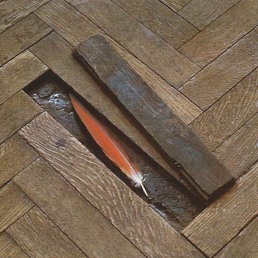 エルエヌシーシーのインスタグラム：「LN-CC Inspiration: Kultur - Natur (Culture-nature) by Lothar Baumgarten, 1971. #Archive」