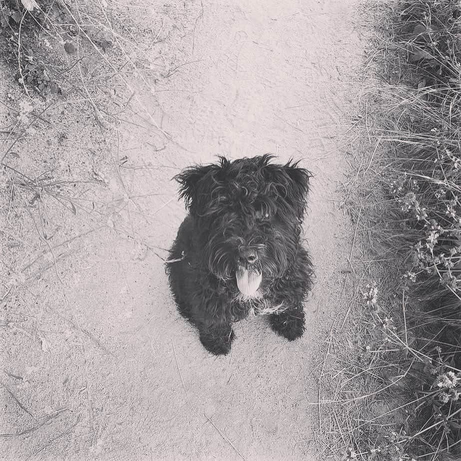 レオン・エルスさんのインスタグラム写真 - (レオン・エルスInstagram)「Happy 2nd birthday Prince. You give me so much love and bring me so much joy. I love you ya little shit 😝」1月7日 6時11分 - leonelse