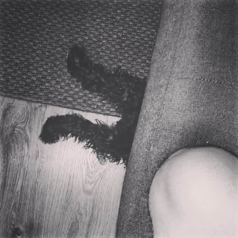 レオン・エルスさんのインスタグラム写真 - (レオン・エルスInstagram)「Happy 2nd birthday Prince. You give me so much love and bring me so much joy. I love you ya little shit 😝」1月7日 6時11分 - leonelse