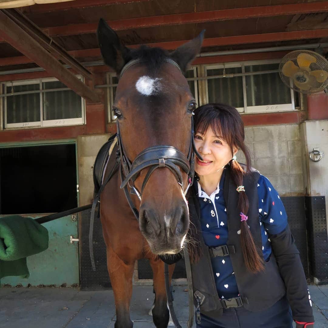 宇月田麻裕さんのインスタグラム写真 - (宇月田麻裕Instagram)「12/25乗馬日記「乗りおさめ」タマモラッシュ   乗馬日記いきまーす。￼￼ ￼ 乗りおさめは、なんと約10年ぶりの騎乗になる、タマモラッシュ！ タマちゃん。 さて、レッスンは、タマちゃんこと「タマモラッシュ」＆Ｔ先生。     2020乗り納めは、タマモラッシュ  こちらに、ほぼ内容書いていますが……。  タマ、少し口が堅いようで、昔のイメージと少し違うかな。 って、覚えていないけど。  11年前くらいに乗った時、  駈歩しながら、馬場から洗い場まで行ってしまい、洗い場から、また馬場に駈歩で戻る そんなハプニング?　があった覚えが。  12/25 クリスマス。 意外な配馬すぎて、お金支払うの忘れるくらい😁　 なんと、東日本大震災以来の騎乗。 その日のことを、最後に載せました。   さて、レッスン。   私が、馬の動きから、ワンテンポ遅れます。   鐙、内股で踏みすぎて、小指で踏んでます。 しかも、右鐙踏めてなく浮いてます。   脚の扶助つかめてきたと思ったけど、感触がいまいちかな。 脚自体、馬体から離れます。   駈歩、何度もトライさせてくれましたが、二歩目が推せず。 タマはやる気！！   先生のご指導もあり、タマを促してくださり   タマ「しょうがないなー！　やってあげるよー」 と。   ラスト成功。   タマの駈歩気持ちいい❤️   スピードに乗った速歩で、手前もうまくいけた！   先生とタマのおかげで、満足いく乗り納めになりました☺️   たまちゃん、頑張ってくれて、とってもいい子でした。   「タマ、ありがとうね」   先生「いい乗りおさめになりましたね」   1年間、先生、お馬さん、ありがとうございました。       ニフティさんの「ココロニ」ブログをしていたころ。    宇月田麻裕の幸せぴょんぴょん！: 2011年3月￼mahiro.nifty.com     2011年3月27日  3/11震災の日、あちこちで流血・・「ボクはだいじょうぶ！」byタマモラッシュ     大地震のあの日・・、 私は馬に乗っていました。 １４：４５にレッスンが終了して、馬を厩舎に戻したところで ずずずずずずす・・・ん。 幸いなことに、馬場にはhasegawa先生一人が乗っていただけで、 レッスンに出た子たちは、みんな厩舎に戻ったところ。 もし、馬場であの地震が来ていたら・・・ 馬たちは興奮して暴れまわり、その中で人々は落馬。 人馬ともにケガをしていたことでしょう。 hasegawa先生は馬場で馬を上手にコントロールしている様子？￼ というか、見ていると「地震に気づいていない？」 と思ってしまうくらい落ち着いて見えました。 地震が大きくなり始めたため、 いったん、厩舎にいる「タマモラッシュ」から離れ、 洗い場に。 ななななんと・・・ 洗い場の子たちが大暴れ。 綱で繋がれていて逃げ場を失っていたのと 人間が尋常ではない行動をしていたため、 馬たちは、我を失っていました。 私は「クローバー」をfuruoka先生たちと必死で抑えていました。 クローバーは額をぶつけて流血。。赤い血が流れ落ちてきます。 それでも、逃げたい一心で、暴れまくります。 その3頭向こうにいた「エスパス」も、かなりの痛手を負っています。 骨が見えてしまうほどの大ケガ。 ようやく少し落ち着いたところで、 たまちゃんこと「タマモラッシュ」のところへ。 たまちゃんは 「ボクはヘイキだよ！だから、おやつ～おやつ～」 よかった！ たまちゃんをはじめ、この周辺の子たちは 「いまのゆれなに～？　そんなのいいから、おやつ～」 地震のショックはないようで、食欲に走っていたので、 ひとまずは安心しました。 ちなみに、この日のレッスンは、いつものようにhamaya先生です。 ということで、久しぶりの「乗馬日記」￼でした。 いや、地震は怖かったけど、 地震よりも、「馬たち」を見ているのが怖かった。 自分を守ることより、とにかく、とにかく、とにかく、馬を守るので必死でした。 しかし、あとから聞いた話・・福島に放牧していた子たち￼は 津波で流されてしまったよう・・・￼   さて、家で一人ぼっちで待っている 「ポポ」が物凄く心配になり、 歩いてでも、すぐに帰る！ という気合を入れて、地震後すぐに徒歩で帰宅しました。 テーブルから物が落ちて、頭を打っているかと思って心配していましたが、 元気だったので安心しました。 が、やっぱり、精神的なショックは、大きかったよう。 でも、家の中で放し飼いにいていたのが良かったのかな。 放し飼いにしていなかったら・・・、 ケージの横にＴＶが置いてあり、そのＴＶが50センチもずれていたため、 ケージも、それに伴って、ずれていたので、ケージの中に入っていたら 迫りくるＴＶに、ポポの恐怖は一層、強まったかもしれません。 いずれにしても、ポポの無事を確認するまで 気が気でなかったため、ほっと一安心しました。     宇月田麻裕の幸せぴょんぴょん！: 2011年3月￼mahiro.nifty.com    タマモラッシュ    タマモラッシュ  競走馬データ - netkeiba.comタマモラッシュの競走馬デー」1月6日 21時18分 - mahiro_utsukita
