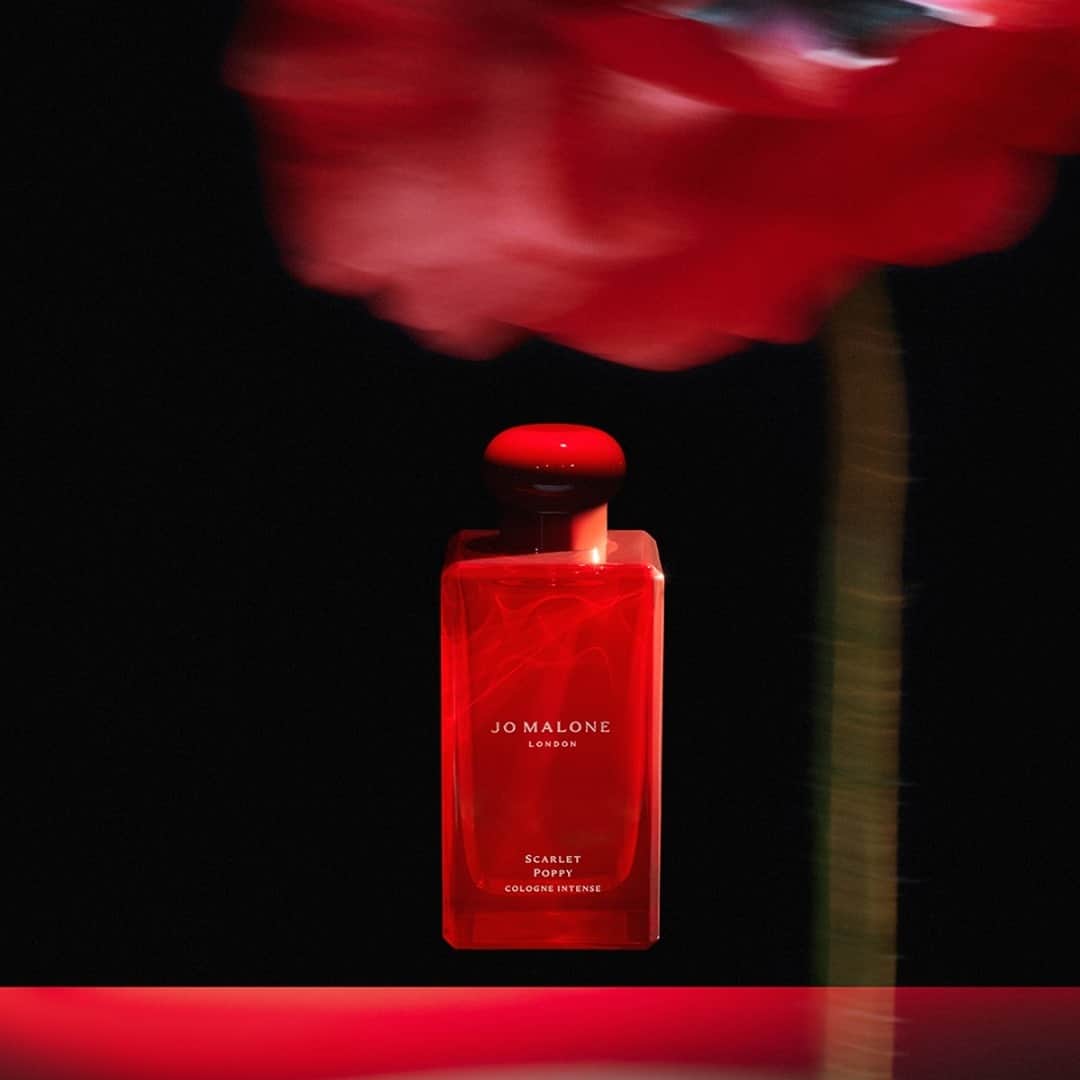 Jo Malone Londonさんのインスタグラム写真 - (Jo Malone LondonInstagram)「A journey in fragrance with our latest addition: Scarlet Poppy. A spritz is all it takes. #CologneIntense」1月6日 21時30分 - jomalonelondon