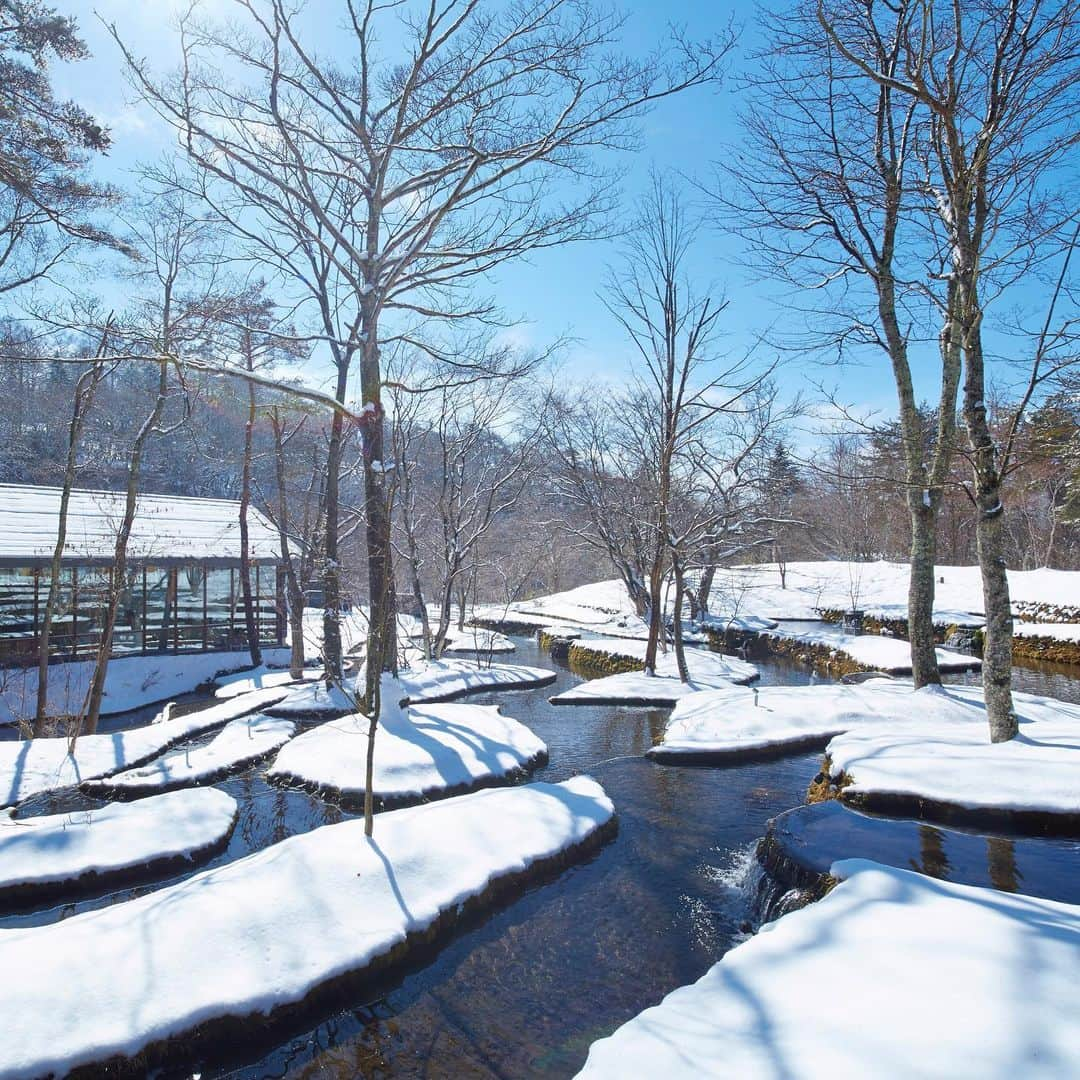 HOSHINOYA｜星のやのインスタグラム：「The beautiful snowy landscape in Karuizawa.  #hoshinoyakaruizawa #karuizawa #hoshinoya  #hoshinoresorts #winter #snow #星のや軽井沢 #軽井沢 #星のや #星野リゾート #冬 #雪」