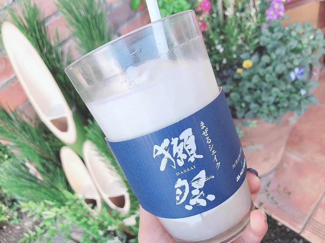 KAGAWACHIHOさんのインスタグラム写真 - (KAGAWACHIHOInstagram)「獺祭シェイク🥤🤍 ・ ・ 上はバニラ、下は濃厚な甘酒ソースに分かれているので よくまぜてまぜてまぜてまぜてまぜて頂きました😋🤍 ・ ・ 普通のバニラシェイクは甘すぎてあまり飲みませんが こちらの#獺祭シェイク は甘さ控えめで飲みやすかた🤍 ・ ・ 私➡︎Mサイズ(¥399＋税) 父➡︎Sサイズ(¥334＋税) ・ ・ ノンアルコールなので 運転手さんも妊婦さんも お酒が飲めない方も(もちろんお酒好きな方も) ぜひぜひ飲んでみてくださいね〜🍶(⸝ᵕᴗᵕ⸝⸝)🤍 ・ ・ #まぜるシェイク獺祭#日本酒好きな人と繋がりたい#日本酒#日本酒女子#獺祭#日本酒好き#dassai#sake#🍶」1月6日 22時01分 - chisan_golf_official