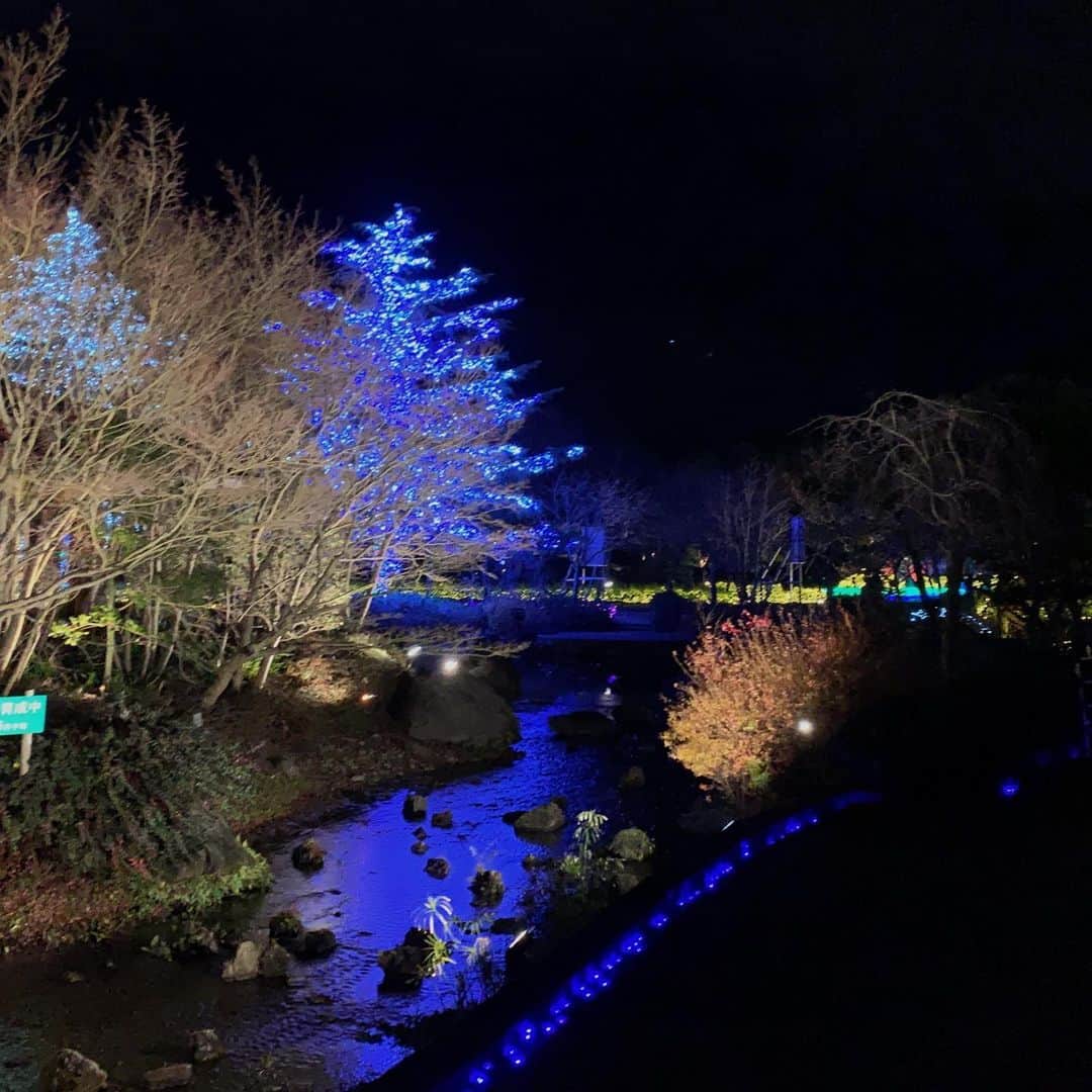 水谷雅子さんのインスタグラム写真 - (水谷雅子Instagram)「千代保稲荷神社の帰りは「なばなの里」に寄り道⭐️ 巨大なスクリーンイルミネーションのテーマは「奇跡の大樹」です。🌲✨ 毎年クリスマスシーズンに来ていて人の頭でいっぱいでしたが、今回とても空いていて いつもより眩しく迫力を感じました。🤩 #なばなの里 #なばなの里イルミネーション  #素敵なイルミネーション#綺麗 #寄り道  #水谷雅子#水谷雅子beautybook50の私」1月6日 22時13分 - mizutanimasako