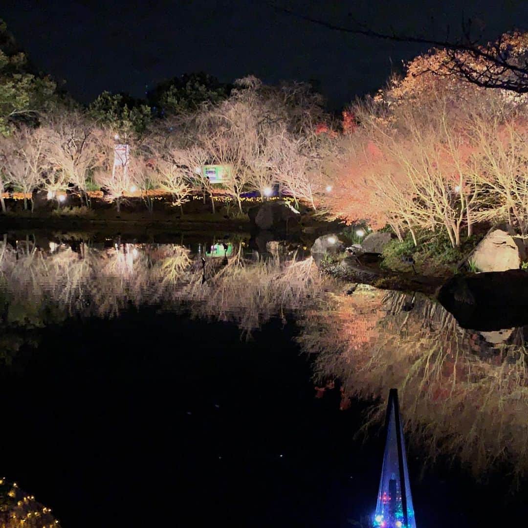 水谷雅子さんのインスタグラム写真 - (水谷雅子Instagram)「千代保稲荷神社の帰りは「なばなの里」に寄り道⭐️ 巨大なスクリーンイルミネーションのテーマは「奇跡の大樹」です。🌲✨ 毎年クリスマスシーズンに来ていて人の頭でいっぱいでしたが、今回とても空いていて いつもより眩しく迫力を感じました。🤩 #なばなの里 #なばなの里イルミネーション  #素敵なイルミネーション#綺麗 #寄り道  #水谷雅子#水谷雅子beautybook50の私」1月6日 22時13分 - mizutanimasako