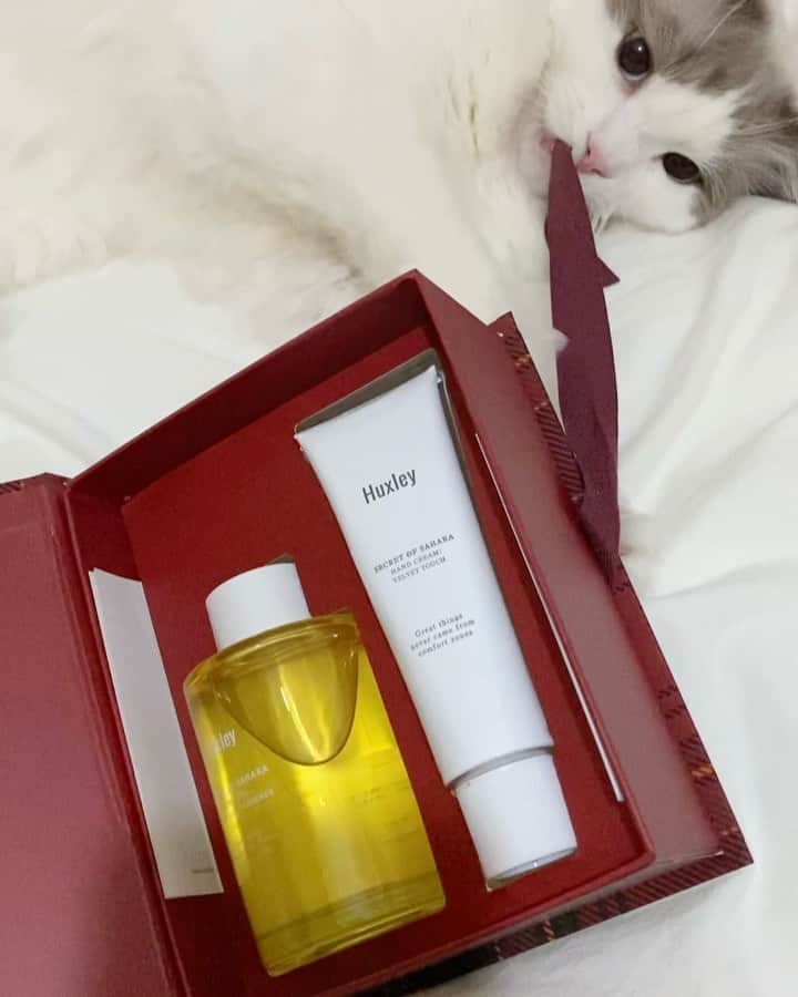 とまんのインスタグラム：「. いつもお世話になっている #Huxley さんからホリデーコレクションを頂きました🌵😇 (こちらは今は置いてないかもしれないです)  #ハクスリー さんの商品はどれもシンプルな 使い心地でいつも安心して愛用しています！」
