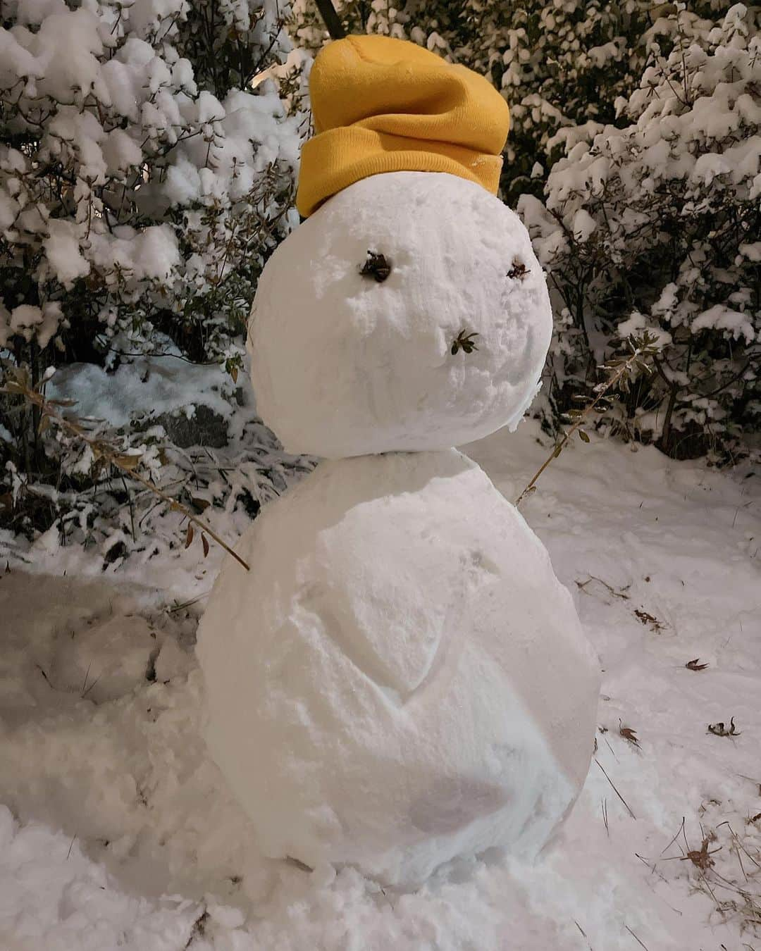 シャオジュン（XIAOJUN）さんのインスタグラム写真 - (シャオジュン（XIAOJUN）Instagram)「❄️」1月6日 22時27分 - djxiao_888