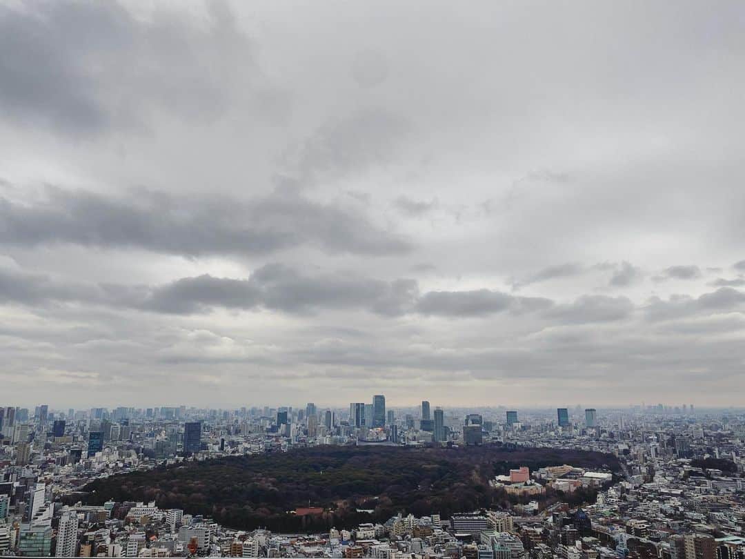 石川龍のインスタグラム：「きょうはどんより曇り空。 代々木公園の森の向こうに渋谷のビル群。」
