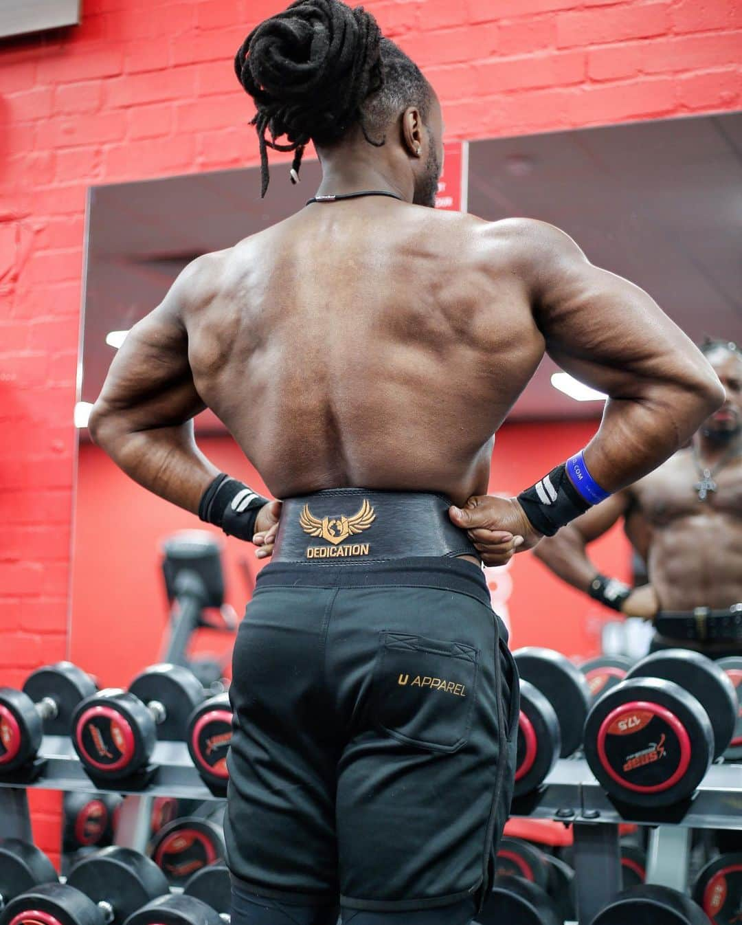 Ulissesworldさんのインスタグラム写真 - (UlissesworldInstagram)「Cobra Back Day! Time to put in work! 🏋️‍♀️ Rocking the @uapparelworld Belt, Wristband & Shorts 🩳  LINK IN MY BIO👆 _ My DEDICATED CHALLENGE 2, starts in 1 days. Registration starts on Tomorrow, January 7th! Full details will be posted soon. Get ready to transform your physique. I will help you get in the best shape EVER!  LINK IN MY BIO👆For Meal Plans & Programs (Females also) @iamdedicated_army #letsgo IAMDEDICATED.ULISSESWORLD.COM #Ulissesworld」1月6日 22時53分 - ulissesworld