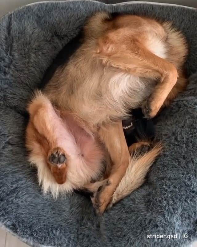 8crapのインスタグラム