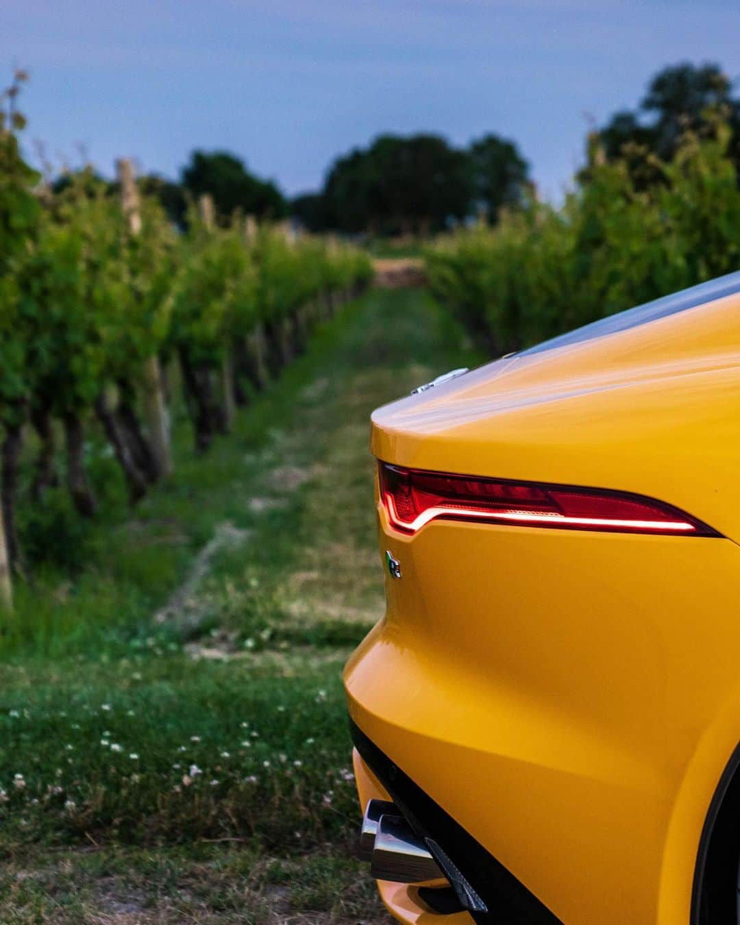 Jaguarさんのインスタグラム写真 - (JaguarInstagram)「Stop. Swipe. Repeat.   #Jaguar #FTYPE #Coupé #Luxury #Premium #Exclusive #Performance #Sport #SportsCar #CarsofInstagram #InstaCar #RhodeIsland #NewEngland #USA」1月6日 23時17分 - jaguar