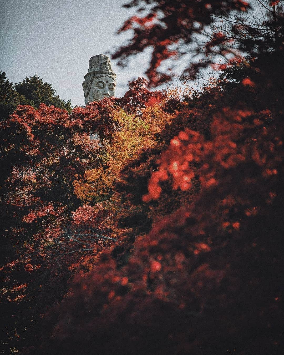 Berlin Tokyoさんのインスタグラム写真 - (Berlin TokyoInstagram)「The resting place of the Great Buddha hidden in the mountains of Nara. . . . #Hellofrom  #Nara, #japan」1月6日 23時32分 - tokio_kid