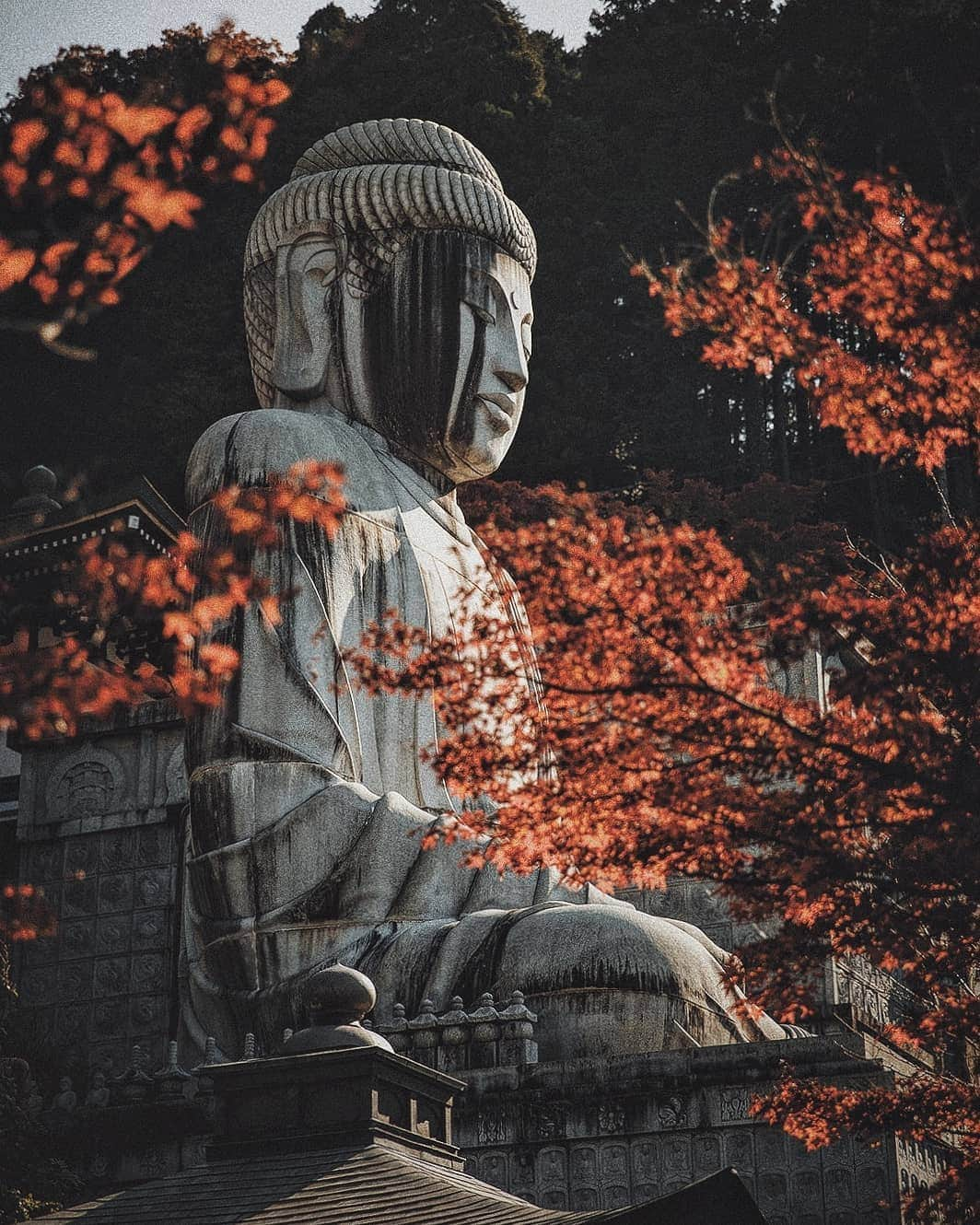 Berlin Tokyoさんのインスタグラム写真 - (Berlin TokyoInstagram)「The resting place of the Great Buddha hidden in the mountains of Nara. . . . #Hellofrom  #Nara, #japan」1月6日 23時32分 - tokio_kid