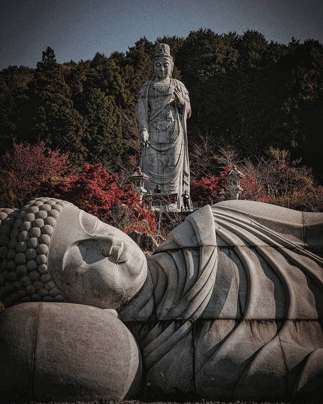 Berlin Tokyoさんのインスタグラム写真 - (Berlin TokyoInstagram)「The resting place of the Great Buddha hidden in the mountains of Nara. . . . #Hellofrom  #Nara, #japan」1月6日 23時32分 - tokio_kid