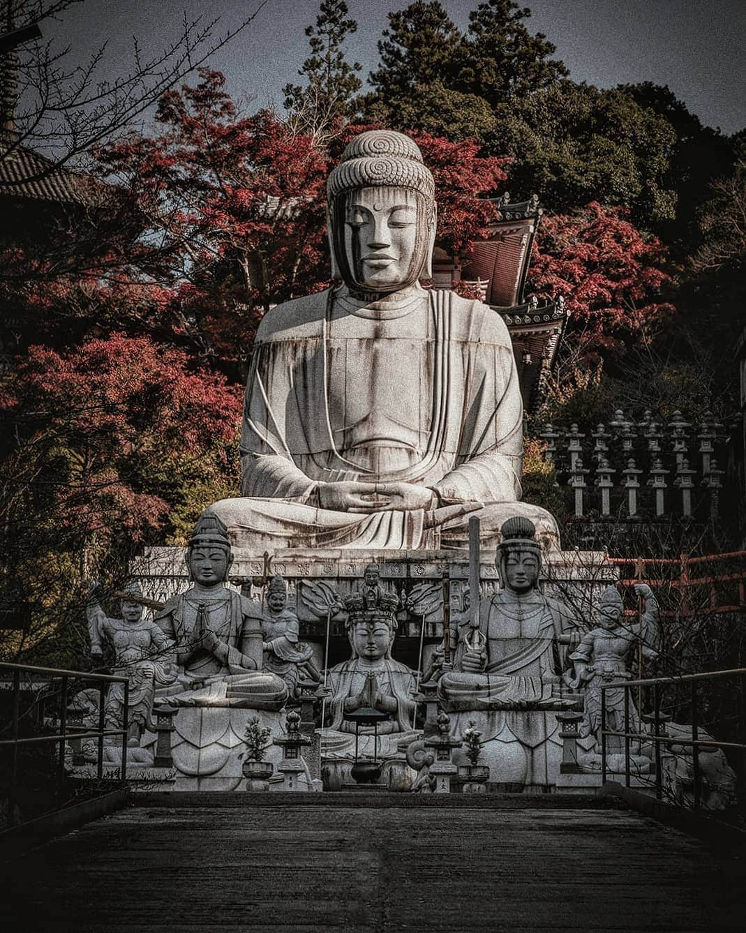 Berlin Tokyoのインスタグラム：「The resting place of the Great Buddha hidden in the mountains of Nara. . . . #Hellofrom  #Nara, #japan」