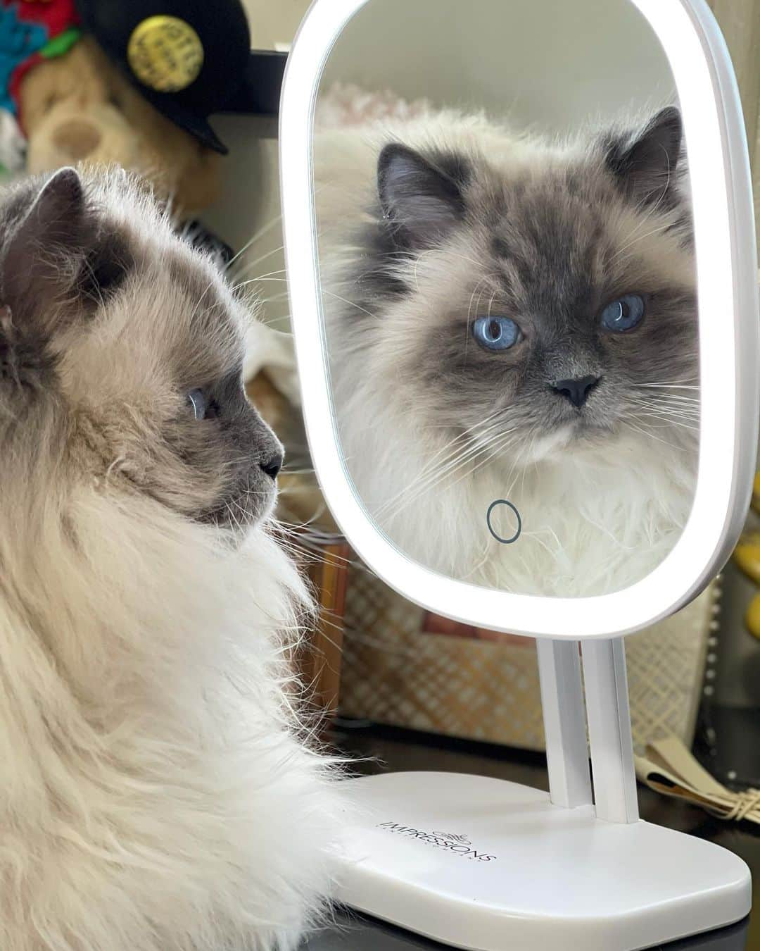 Tinaさんのインスタグラム写真 - (TinaInstagram)「Mirror Mirror...😻」1月7日 0時21分 - tinaf78