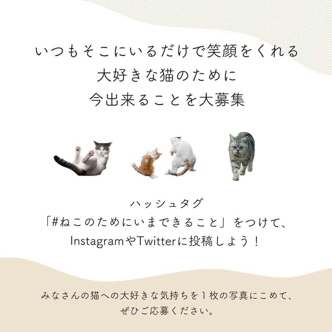 Masayukiさんのインスタグラム写真 - (MasayukiInstagram)「Masayuki Oki×Wpc. Wpc.ではコラボアイテム発売にあわせて 「#ねこのためにいまできること 」ハッシュタグキャンペーン開催！  キャンペーン概要 応募期間：1/5(火)～3/21(日)まで 応募方法：InstagramまたはTwitterにて、Wpc.公式アカウントをフォローの上、 猫の写真とあわせてあなたの猫のために出来ることをハッシュタグ「#ねこのためにいまできること 」をつけて投稿ください。  詳細は、@wpc_official をチェック！  #ねこのためにいまできること #wpcコラボ #cat #ねこ #沖昌之 #okirakuoki」1月7日 0時30分 - okirakuoki