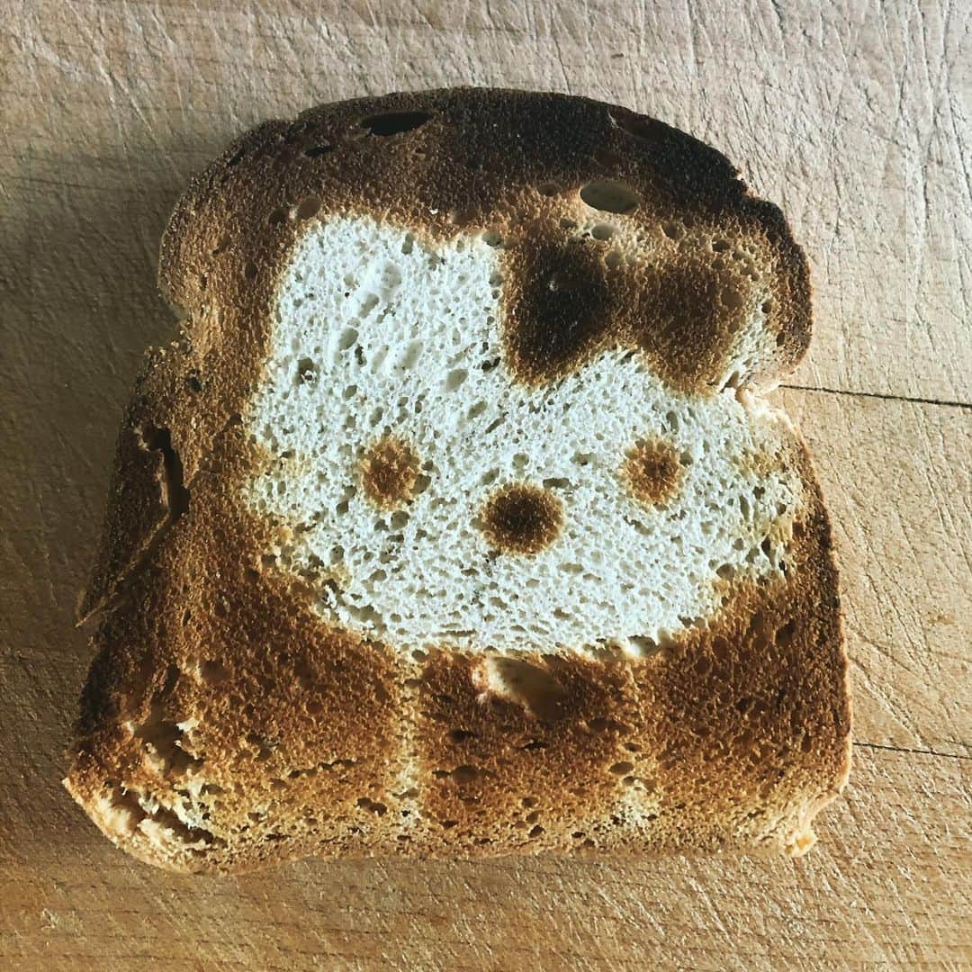 アラン・カミングさんのインスタグラム写真 - (アラン・カミングInstagram)「In addition to everything else we have to thank @staceyabrams for today, I think it is no coincidence that this morning I got the best ever imprint of you know who on a piece of toast from my  @hellokitty  toaster! So thanks again Stacey!」1月7日 0時45分 - alancummingreally