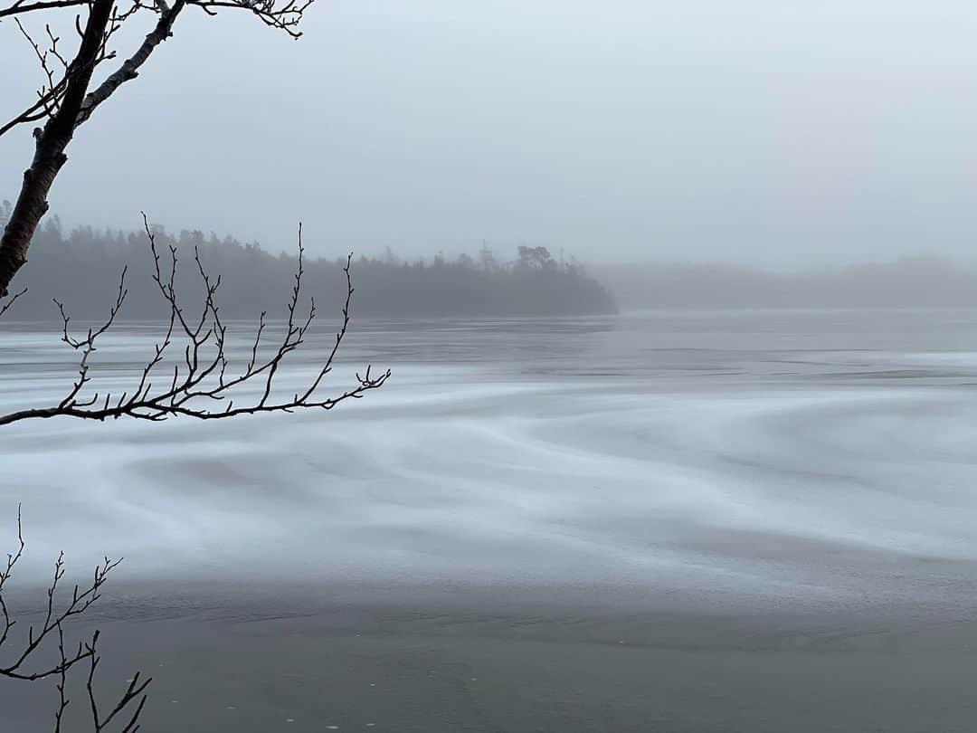 ミーガン・オリーさんのインスタグラム写真 - (ミーガン・オリーInstagram)「Morning mist. #nofilter. For real no filter!」1月7日 0時46分 - officialmeghanory