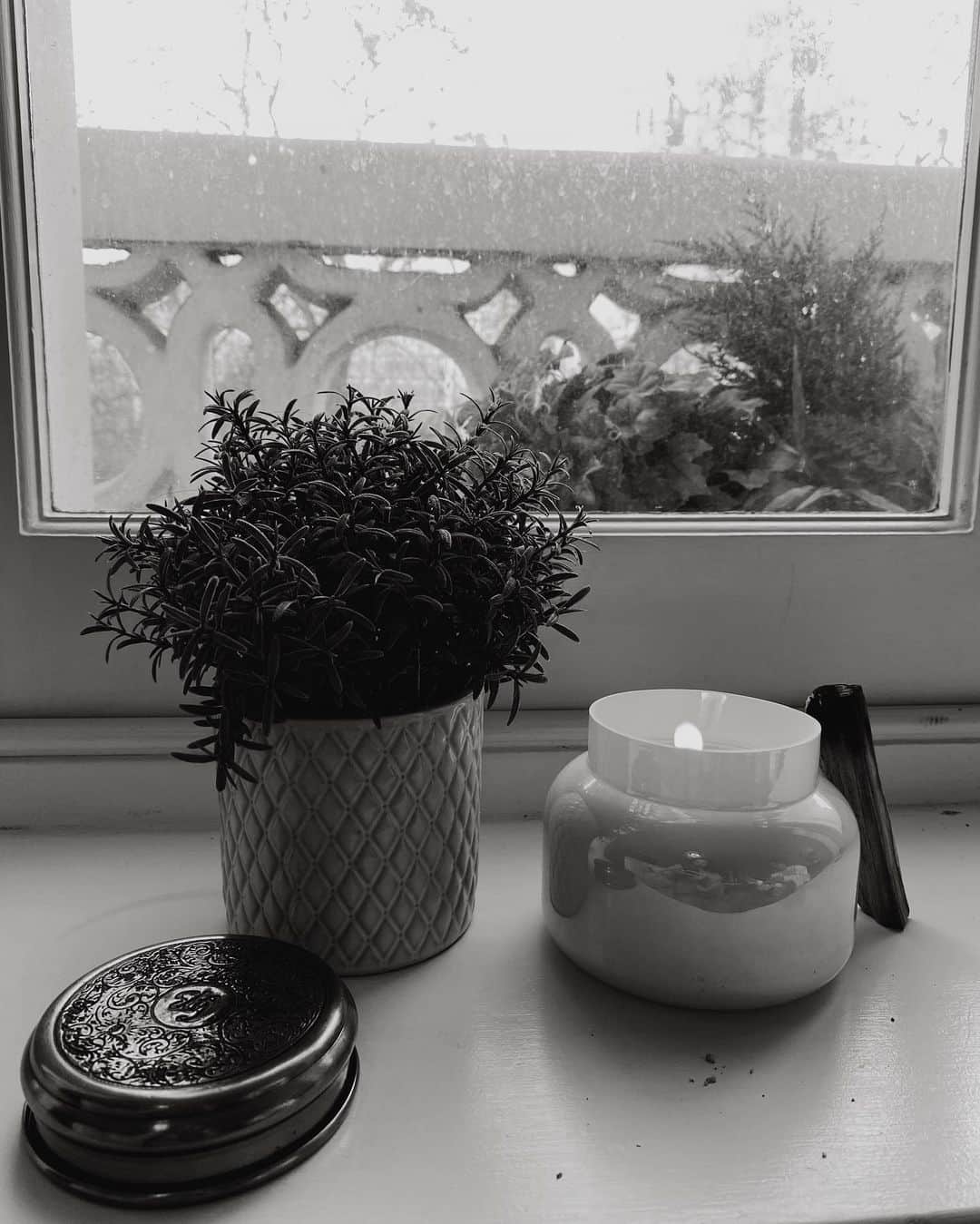 シャニーナ・シャイクのインスタグラム：「Love and Light ✨ we all need some good vibes right now ....」