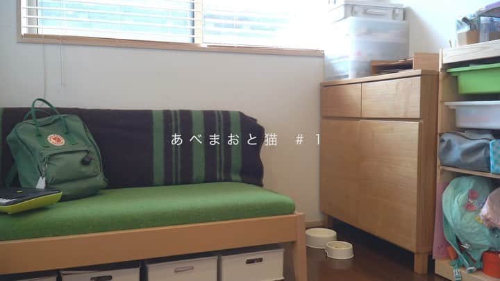 阿部真央のインスタグラム：「ドラマ #おじさまと猫 を追いかけるようにこんなプチムービーを毎週あげていきます🐱 猫ちゃん好きの方是非ご覧ください。  阿部真央の新曲もウラで流れてます。  おやすみにゃ！  #あべまおと猫 #阿部真央 #ふたりで居れば」