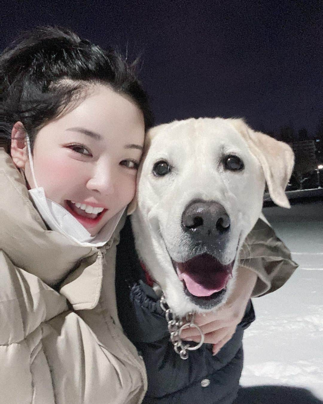 キム・ドヒさんのインスタグラム写真 - (キム・ドヒInstagram)「- 눈 오는날은 나랑 울 강수 씐나는날❄️ 근데 너무 추워서 강수 수염에 고드름이 생겼다 😂☃️」1月7日 1時49分 - dohya_kh