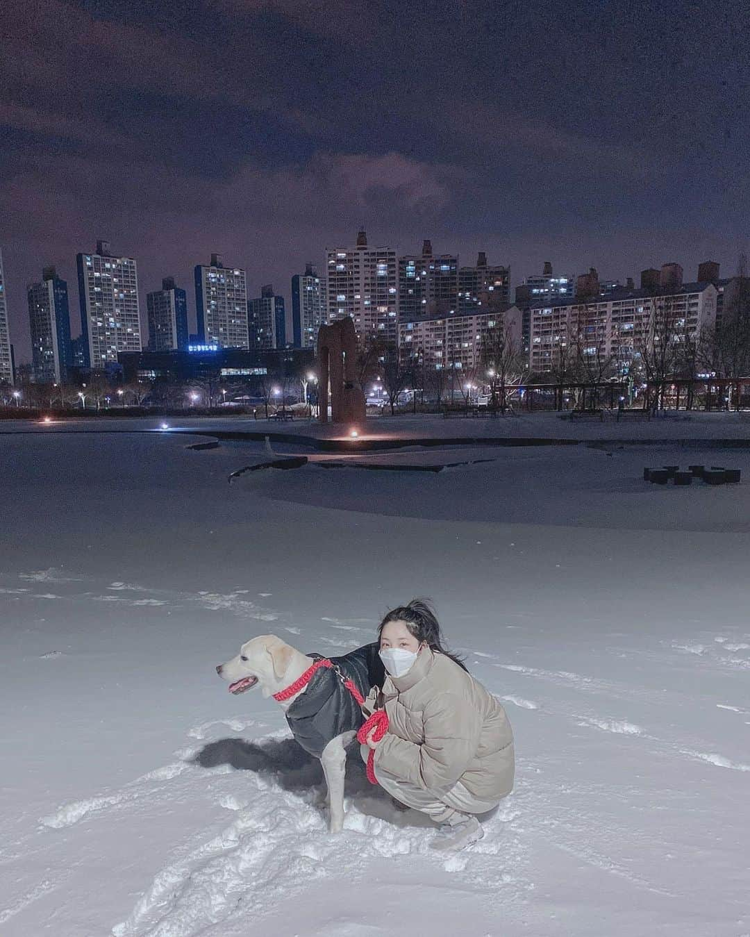 キム・ドヒさんのインスタグラム写真 - (キム・ドヒInstagram)「- 눈 오는날은 나랑 울 강수 씐나는날❄️ 근데 너무 추워서 강수 수염에 고드름이 생겼다 😂☃️」1月7日 1時49分 - dohya_kh