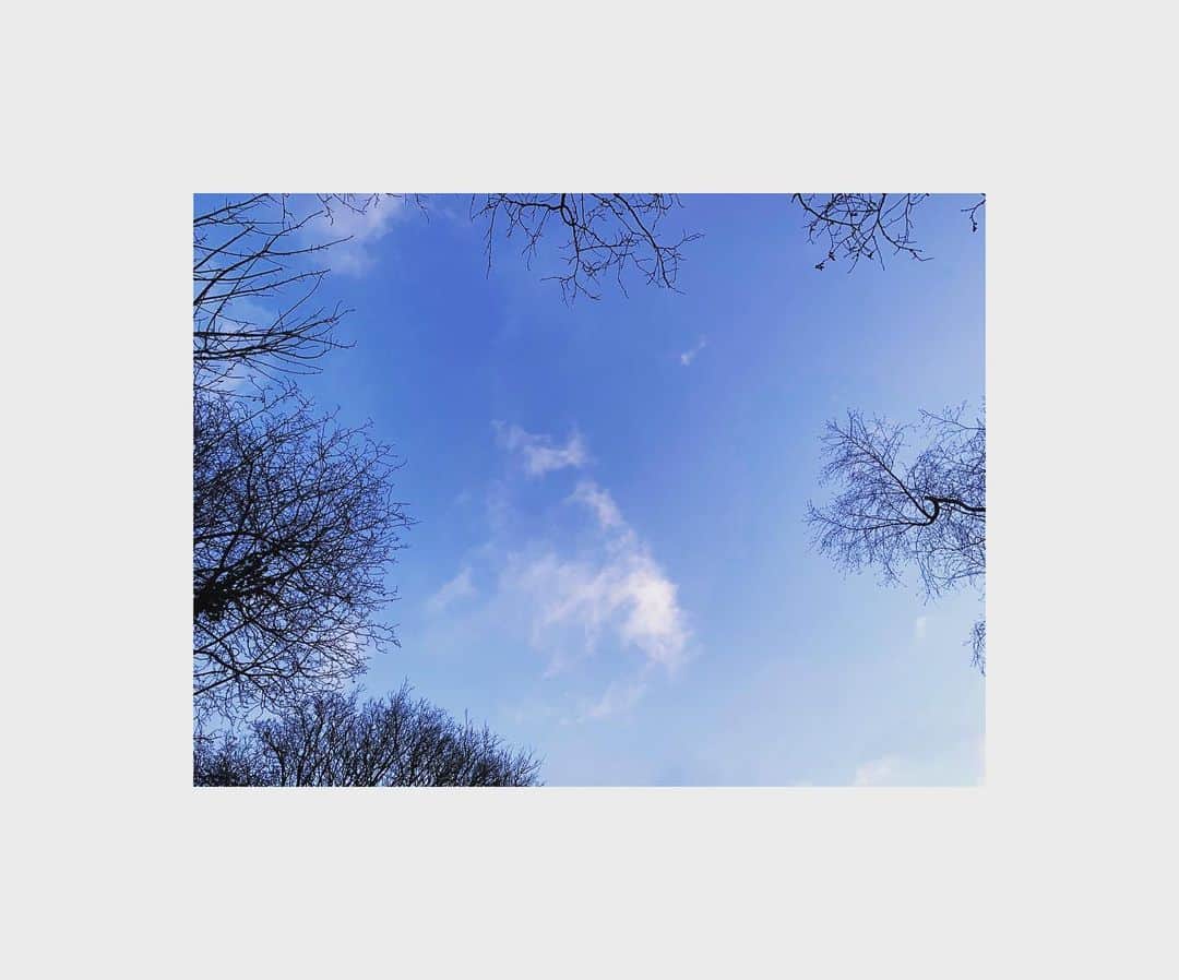 ダイアナ湯川のインスタグラム：「Look up ⬆️  . . . . #lookup #up #sky #mothernature #bluesky #wintersky #winter #january #covidtimes #home #grateful #trust」