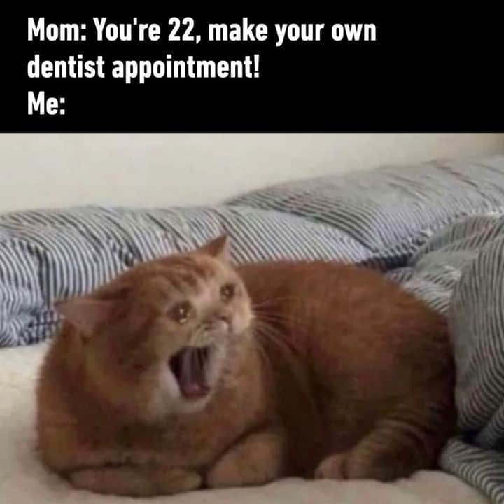 9GAGさんのインスタグラム写真 - (9GAGInstagram)「But I don't want to🥺⠀ #adulting #memes #dentist #9gag」1月7日 4時00分 - 9gag