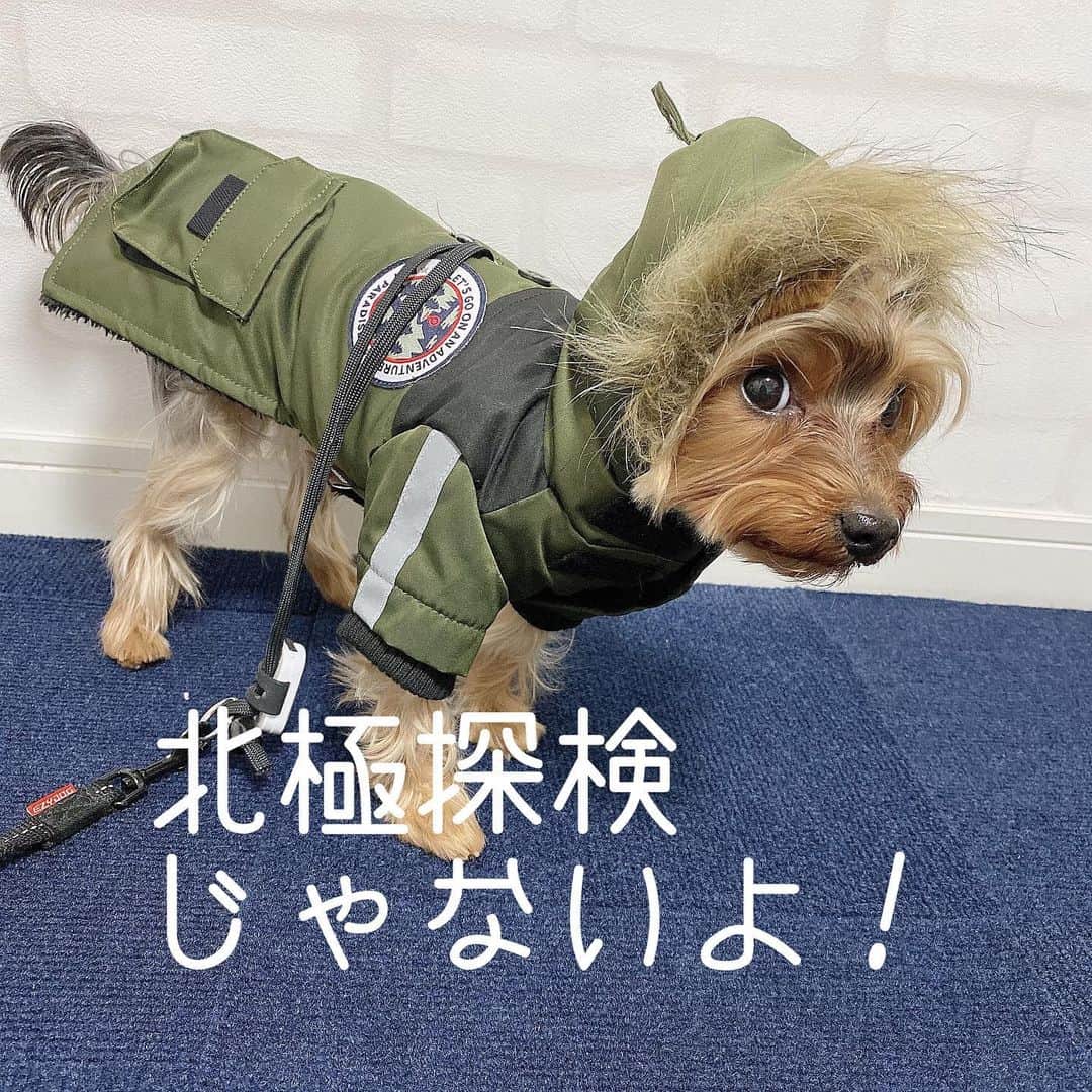 富士川碧砂のインスタグラム