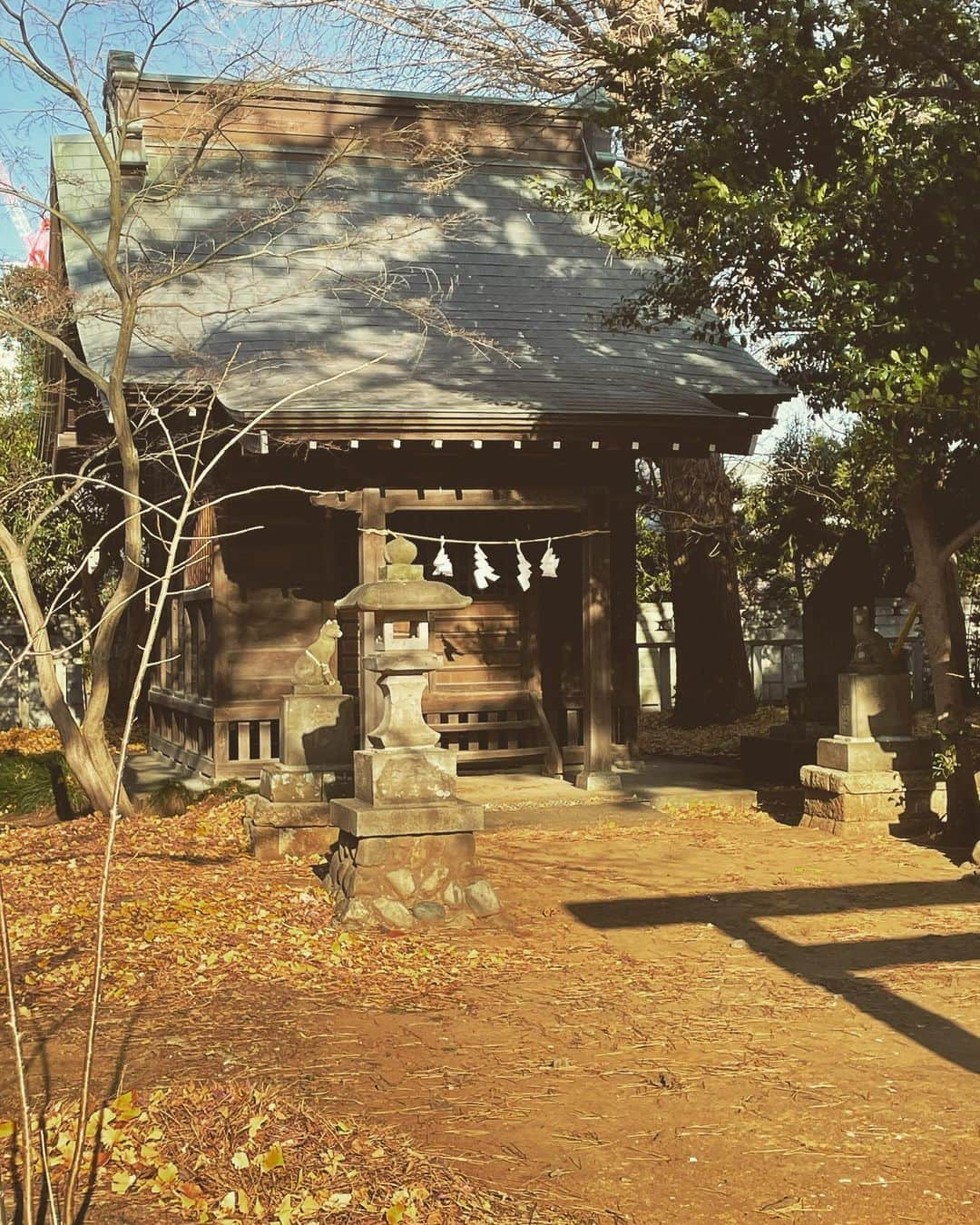 加藤美帆さんのインスタグラム写真 - (加藤美帆Instagram)「年明け初めての神社は稲荷神社さん🥺 お揚げ今度持っていこう(*˙ᵕ˙ *) 今日🍃🌀🍃凄い😂😂 #instagood  #instapic  #instalike  #instagram  #shrine #神社 #稲荷神社」1月7日 15時06分 - miho_kato07