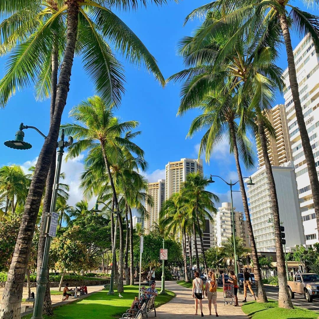 Belle Vie Hawaiiさんのインスタグラム写真 - (Belle Vie HawaiiInstagram)「ワイキキは本日も晴天☀️🌴﻿ カラカウア通りをのんびりお散歩するのに﻿ ちょうどいいお天気です😘﻿ ﻿ ﻿ 【ベルヴィー情報】﻿ ・WEB﻿ 新春初売りセール開催中❣️﻿ ベルヴィーオリジナル商品全品30％オフ👏﻿ クーポンコード: BV21NY﻿ ※定期購入除く。﻿ ﻿ ・ワイキキ店﻿ 営業時間: 11:00〜16:00🈺﻿ ID提示でカマアイナ10%割引。﻿ その他、店頭だけのお買い得商品あり💕﻿ 詳しくは店頭でお尋ねください。﻿ ﻿ ﻿ ﻿ #belleviehawaii﻿ #waikiki #hawaii﻿ #honolulu #hawaiilife﻿ #aloha #organicoil﻿ #ハワイ #ベルヴィー﻿ #ハワイ好き #オアフ島﻿ #ハワイ大好き #ハワイ生活﻿ #ハワイ行きたい #ハワイ在住﻿ #アロハ #カラカウア通り﻿ #ワイキキ #ワイキキビーチ﻿ #頑張れハワイ #ハワイ情報﻿ #ホノルル #ハワイインスタ﻿ #妄想ハワイ #ハワイライフ﻿ #ハワイ好きな人と繋がりたい」1月7日 6時58分 - belleviehawaii