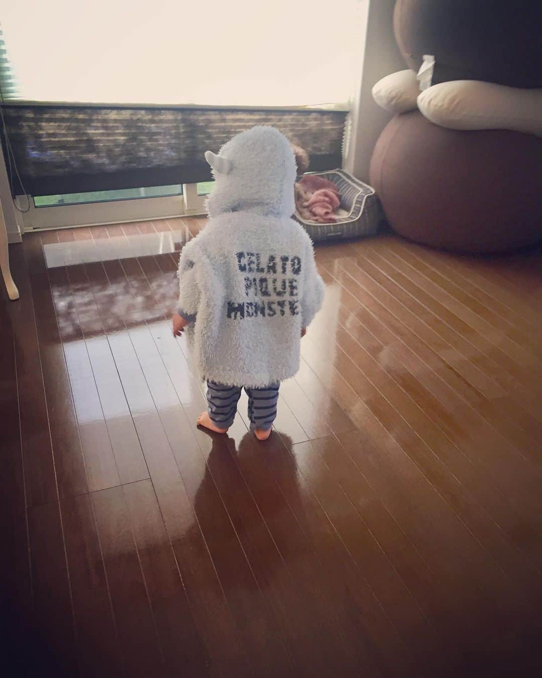 知念芽衣さんのインスタグラム写真 - (知念芽衣Instagram)「#おはよう  私の可愛い怪獣🦖 毛深い娘🐩  歩くようになったら、 プレゼントで頂いたジェラピケが ますます似合うようになりました😂  ありがとう〜🌈  #1歳2ヶ月  #赤ちゃんのいる暮らし  #トイプードル」1月7日 7時35分 - meichinen