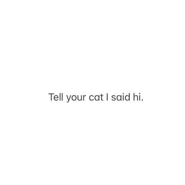 The Cats Of Instagramのインスタグラム：「👋🏼」