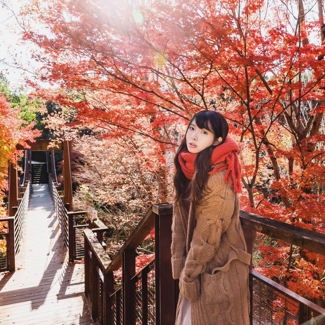 高田世莉菜さんのインスタグラム写真 - (高田世莉菜Instagram)「寒いね？ 📸 @kaerukero7」1月7日 8時48分 - serina_0531