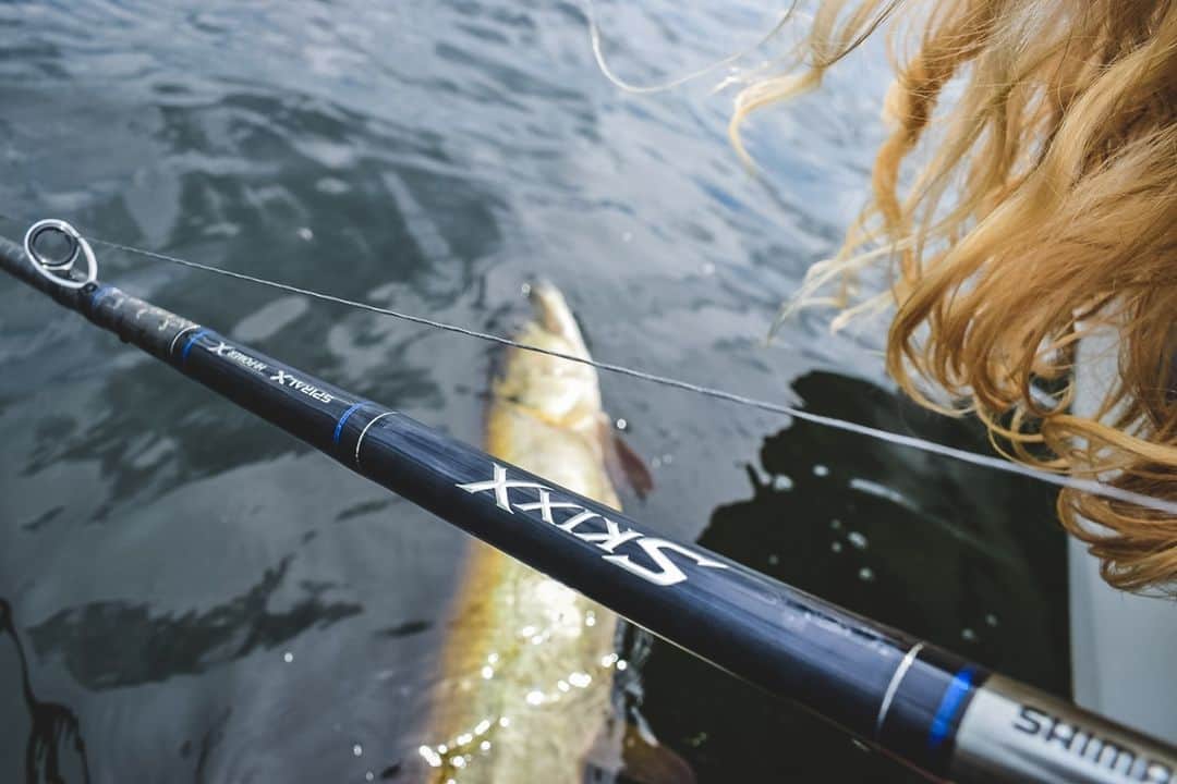 シマノ｜Fishingのインスタグラム：「A moment inside the tiger cage with SKIXX. This rods series features a combination of Spiral X and Hi-Power X that achieves the optimum balance between lightweight, strength, and control.   Which state do you think has the best muskie fishing in the United States?  #FishShimano #SKIXX #MuskieFishing #Muskie」