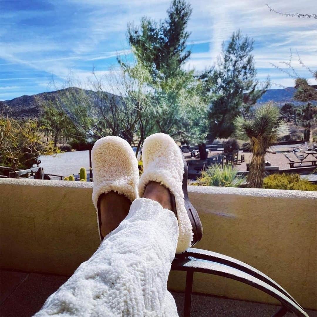 ダンスコのインスタグラム：「Ahhh - great things are on the horizon!」