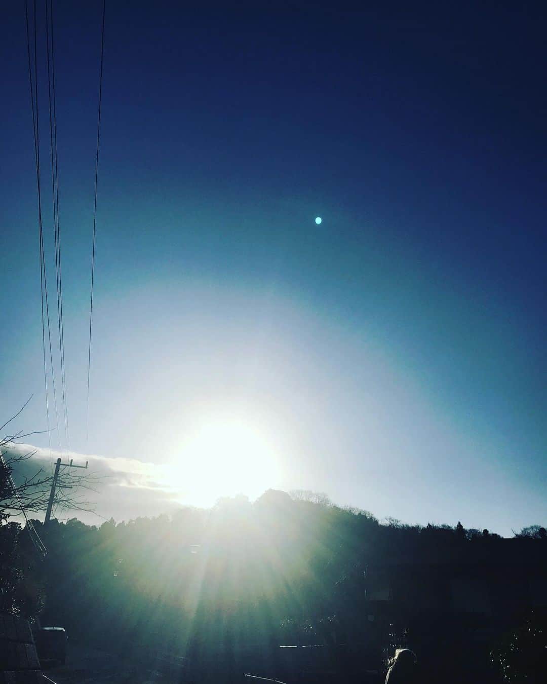 有坂美香のインスタグラム：「Good morning 💐（╹◡╹）♡ 今朝は山側の鎌倉より  実家エリアはレコードやカセットでいうならば確実にB面  The side B of the Kamakura city.  #鎌倉 #実家 #kamakura」