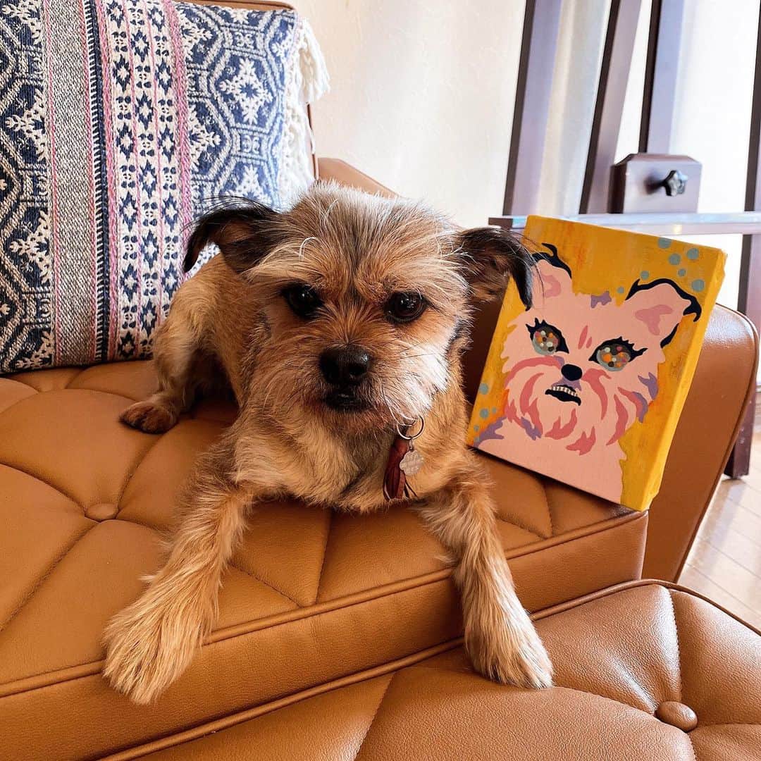 松尾たいこのグルメインスタ