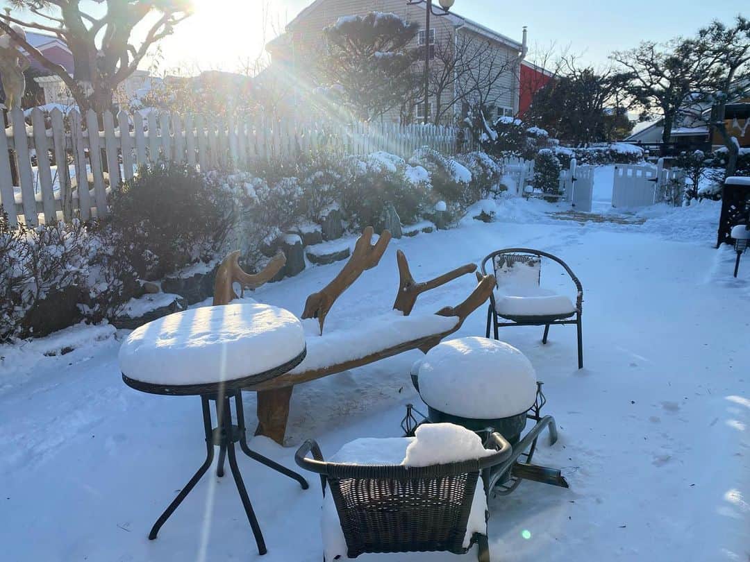 ピパ さんのインスタグラム写真 - (ピパ Instagram)「❄️☃️❄️  #snowing #themorning」1月7日 10時17分 - bipa.diva