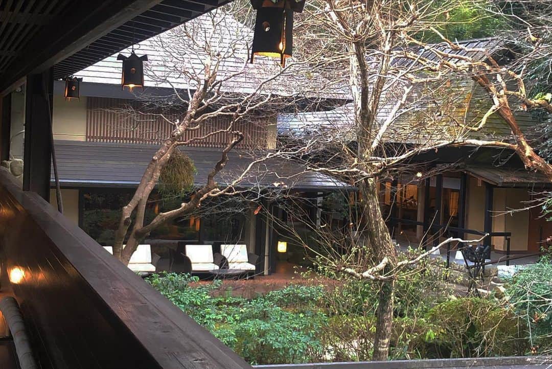 木下ココさんのインスタグラム写真 - (木下ココInstagram)「🌳🌿🌲🍃 ・ ・ ・ #伊豆 #旅館 #温泉宿  #和 #美 #日本の風景」1月7日 10時46分 - cocot_chan