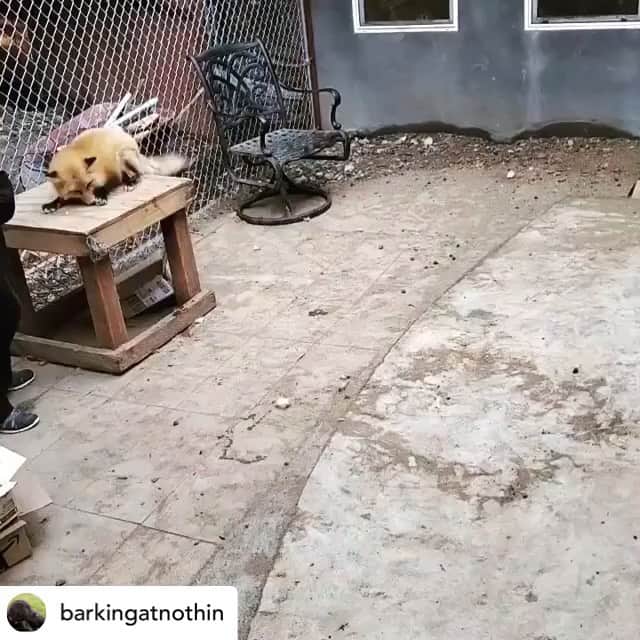 Rylaiのインスタグラム