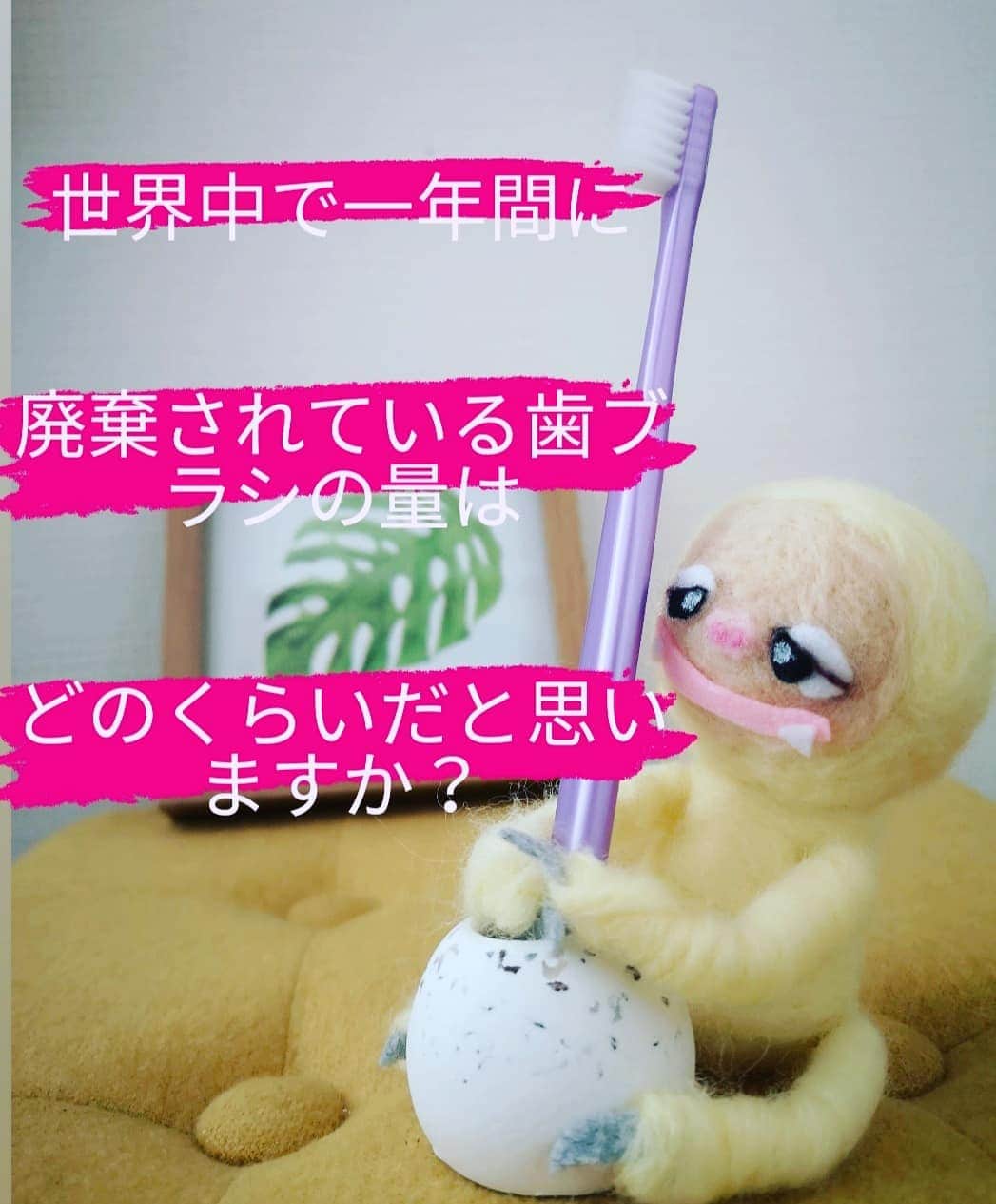 のインスタグラム：「普段皆さんがいつも使う身近な歯ブラシについてのクイズです💡  eco動物のナマケモノのゆるキャラと一緒に知っていこう🍃  #小さな一歩 #脱プラ #脱プラスチック生活 #エシカル #エシカルライフ #サステナブル #サステナブルな暮らし #sgds #バンブー歯ブラシ #地球に優しい暮らし #ゼロウェイスト #eshical #sastinable #banbootoothbrush」