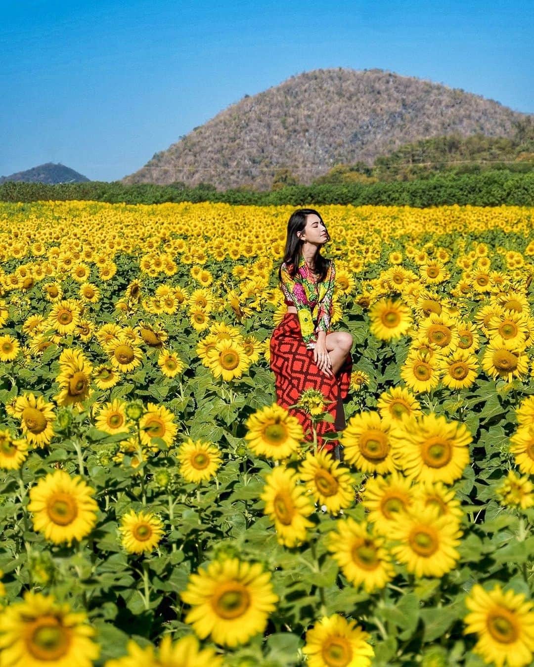 のインスタグラム：「🌻คิดถึงทานตะวัน」